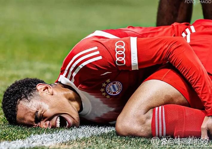 拜仁伤情严重,穆西亚拉等四人缺阵,多达七人或无缘战国米 拜仁伤情严重,穆西亚拉等四人缺阵,多达七人或无缘战国米